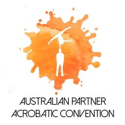 Festival partner 3